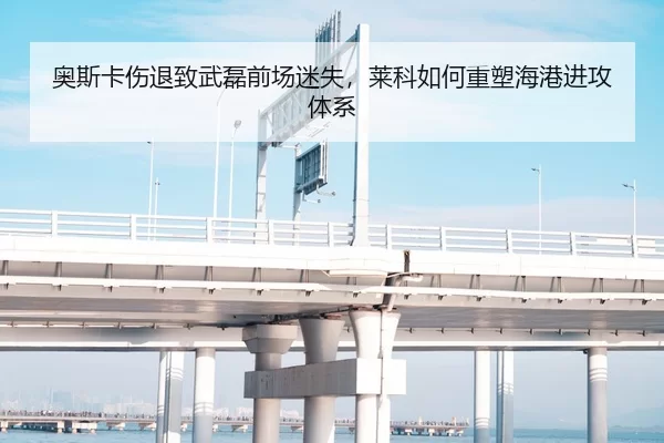 奥斯卡伤退致武磊前场迷失，莱科如何重塑海港进攻体系