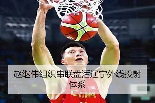 赵继伟组织串联盘活辽宁外线投射体系